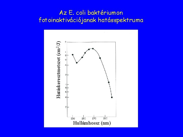 Hatáskeresztmetszet (cm 2/J) Az E. coli baktériumon fotoinaktivációjanak hatásspektruma Hullámhossz (nm) Hatáskeresztmetszet (cm 2/J) Az E. coli baktériumon fotoinaktivációjanak hatásspektruma Hullámhossz (nm)