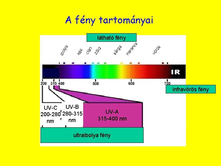 A fény tartományai s rö ra na vö nc a rg sá ké k A fény tartományai s rö ra na vö nc a rg sá ké k