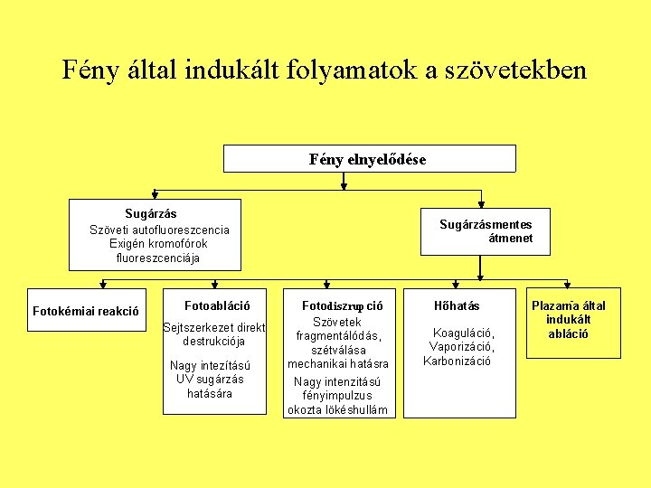 Fény által indukált folyamatok a szövetekben Fény elnyelődése Sugárzás Szöveti autofluoreszcencia Exigén kromofórok fluoreszcenciája