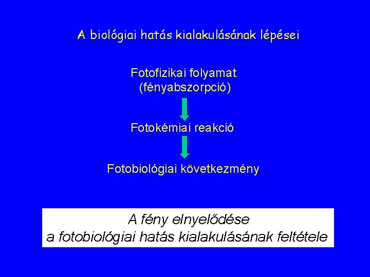 A biológiai hatás kialakulásának lépései Fotofizikai folyamat (fényabszorpció) Fotokémiai reakció Fotobiológiai következmény A fény A biológiai hatás kialakulásának lépései Fotofizikai folyamat (fényabszorpció) Fotokémiai reakció Fotobiológiai következmény A fény