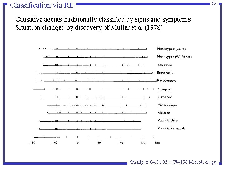 Classification via RE 16 Causative agents traditionally classified by signs and symptoms Situation changed Classification via RE 16 Causative agents traditionally classified by signs and symptoms Situation changed
