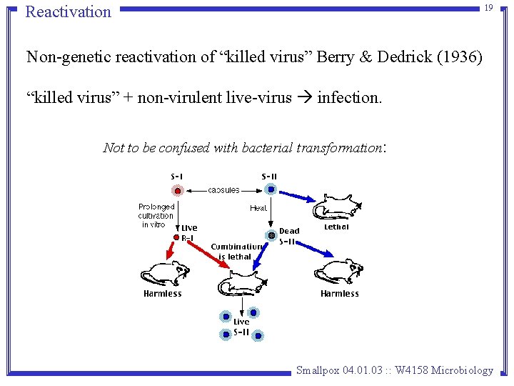 Reactivation 19 Non-genetic reactivation of “killed virus” Berry & Dedrick (1936) “killed virus” + Reactivation 19 Non-genetic reactivation of “killed virus” Berry & Dedrick (1936) “killed virus” +