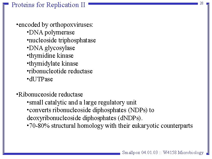 Proteins for Replication II 28 • encoded by orthopoxviruses: • DNA polymerase • nucleoside Proteins for Replication II 28 • encoded by orthopoxviruses: • DNA polymerase • nucleoside