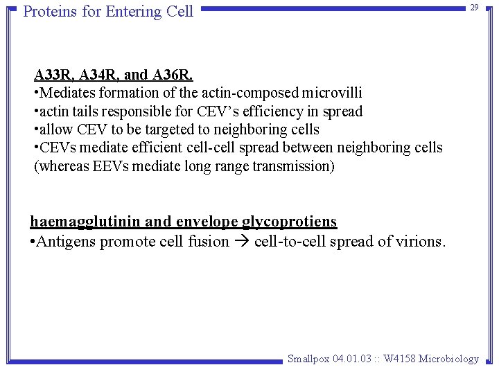 Proteins for Entering Cell 29 A 33 R, A 34 R, and A 36 Proteins for Entering Cell 29 A 33 R, A 34 R, and A 36
