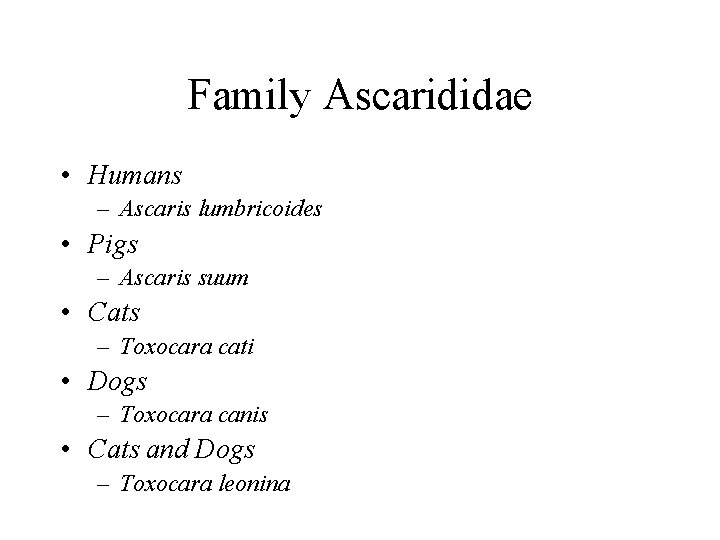 Family Ascarididae • Humans – Ascaris lumbricoides • Pigs – Ascaris suum • Cats Family Ascarididae • Humans – Ascaris lumbricoides • Pigs – Ascaris suum • Cats