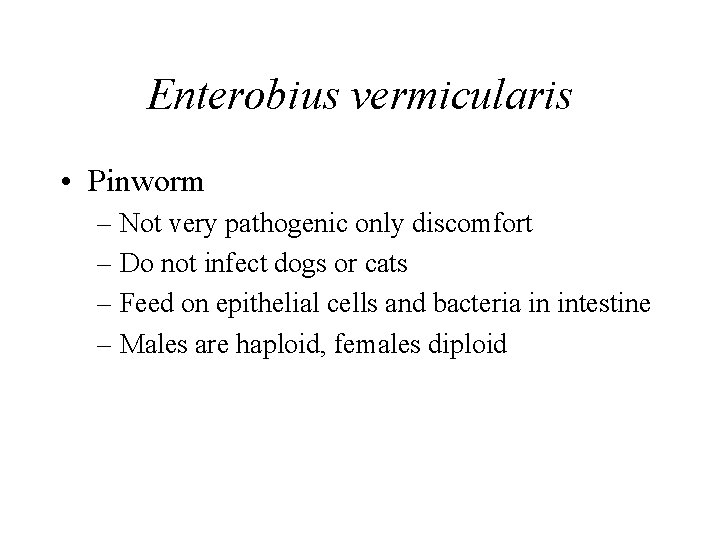 Enterobius vermicularis • Pinworm – Not very pathogenic only discomfort – Do not infect Enterobius vermicularis • Pinworm – Not very pathogenic only discomfort – Do not infect