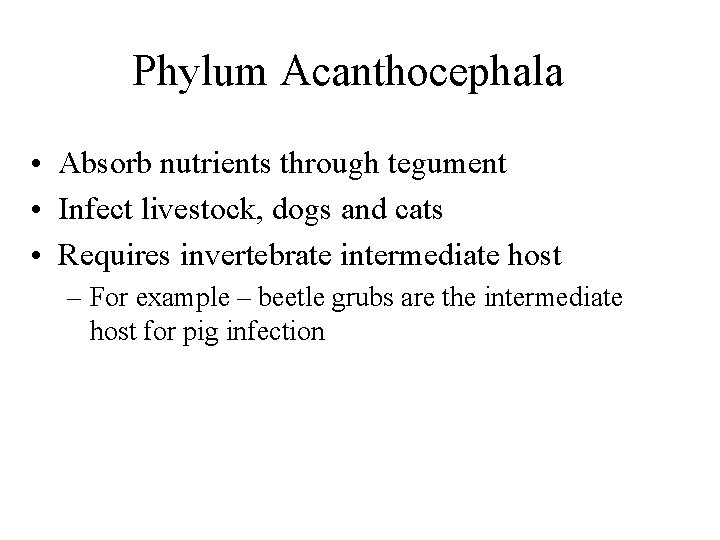 Phylum Acanthocephala • Absorb nutrients through tegument • Infect livestock, dogs and cats • Phylum Acanthocephala • Absorb nutrients through tegument • Infect livestock, dogs and cats •