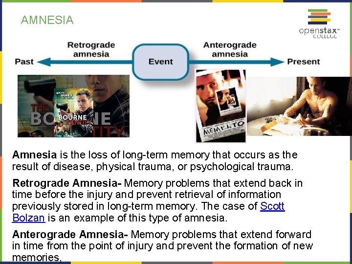 AMNESIA Amnesia is the loss of long-term memory that occurs as the result of