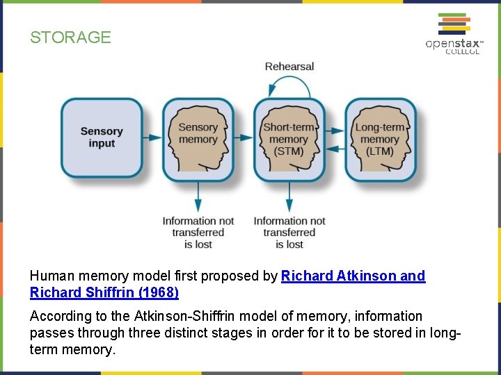 STORAGE Human memory model first proposed by Richard Atkinson and Richard Shiffrin (1968) According