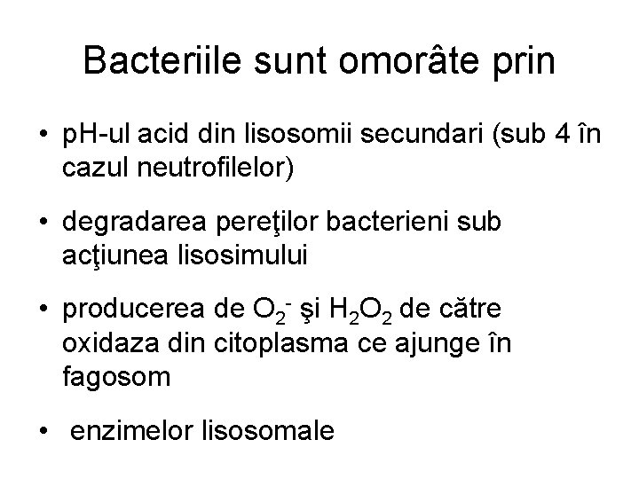 Bacteriile sunt omorâte prin • p. H-ul acid din lisosomii secundari (sub 4 în