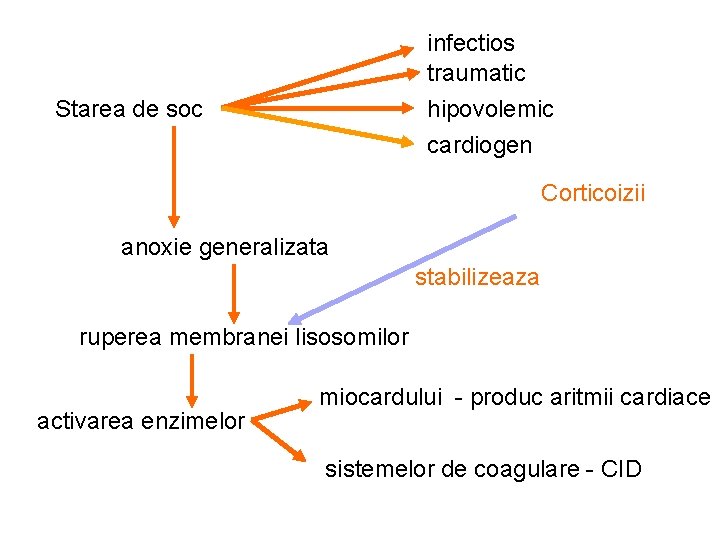 infectios traumatic hipovolemic Starea de soc cardiogen Corticoizii anoxie generalizata stabilizeaza ruperea membranei lisosomilor