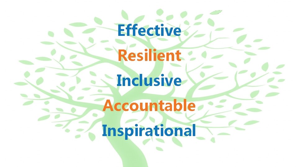 Effective Resilient Inclusive Accountable Inspirational 