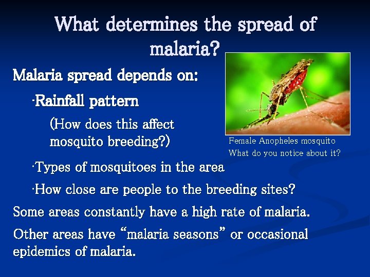 What determines the spread of malaria? Malaria spread depends on: • Rainfall pattern (How