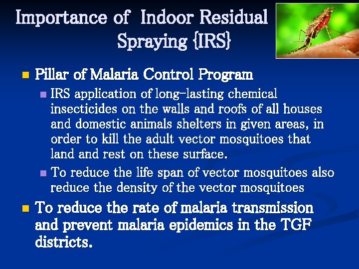 Importance of Indoor Residual Spraying {IRS} n Pillar of Malaria Control Program IRS application