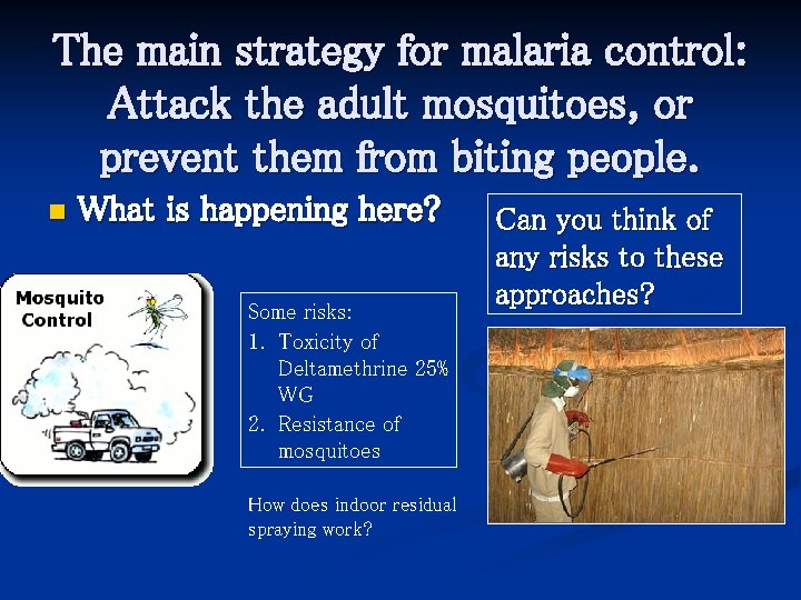 The main strategy for malaria control: Attack the adult mosquitoes, or prevent them from
