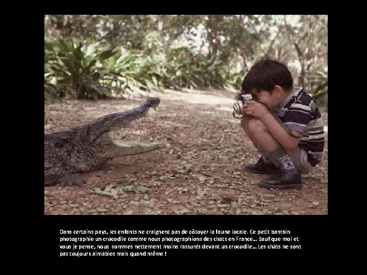 Dans certains pays, les enfants ne craignent pas de côtoyer la faune locale. Ce