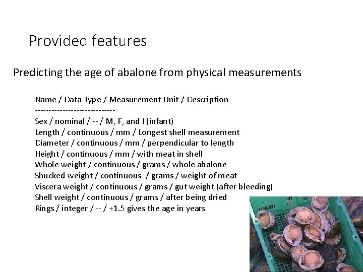 Provided features Predicting the age of abalone from physical measurements Name / Data Type