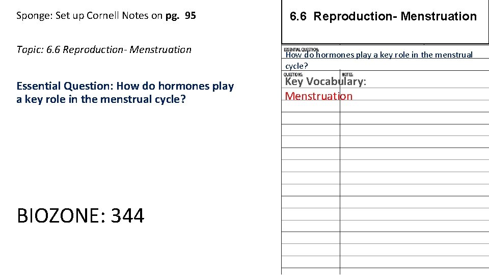 Sponge: Set up Cornell Notes on pg. 95 Topic: 6. 6 Reproduction- Menstruation Essential