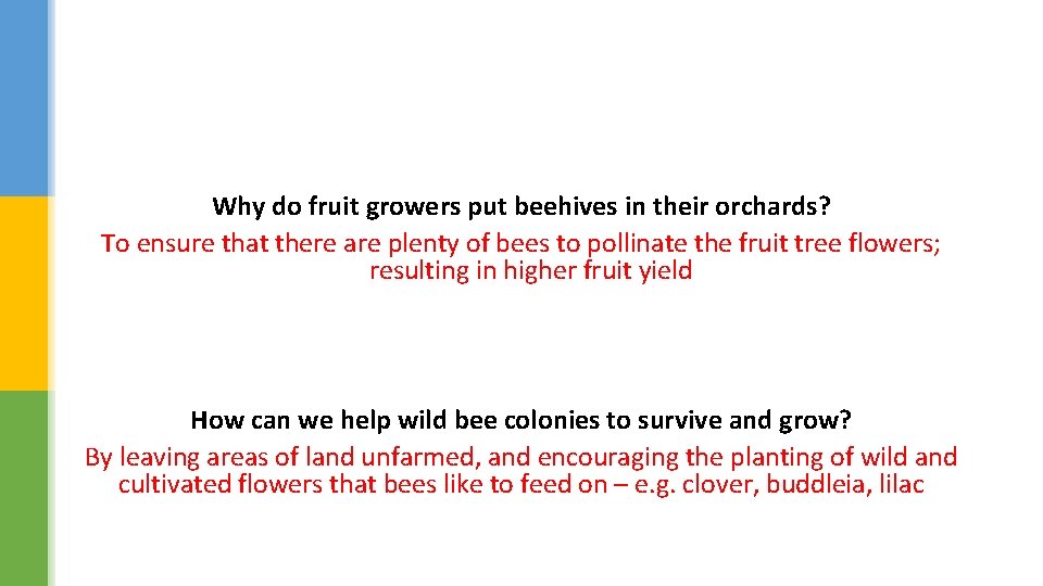 Why do fruit growers put beehives in their orchards? To ensure that there are