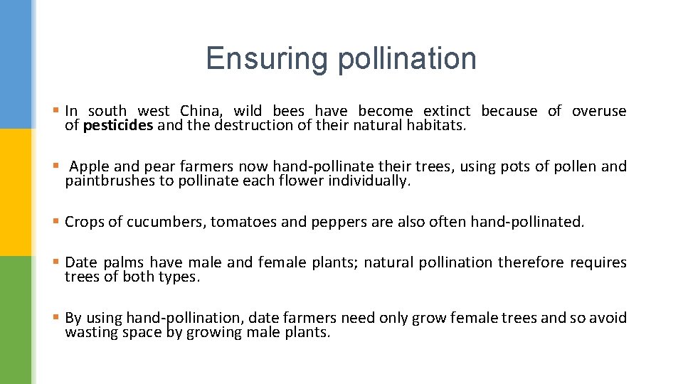 Ensuring pollination § In south west China, wild bees have become extinct because of