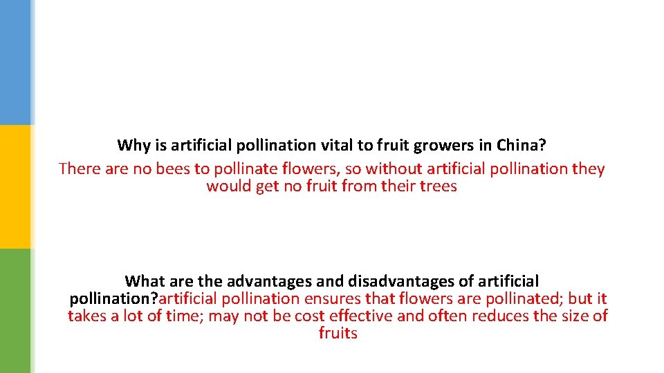 Why is artificial pollination vital to fruit growers in China? There are no bees