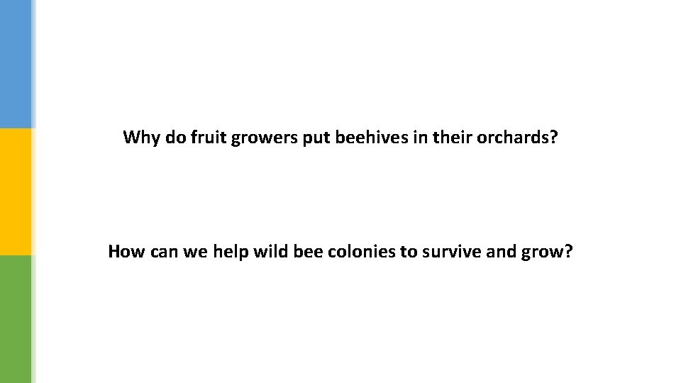 Why do fruit growers put beehives in their orchards? How can we help wild