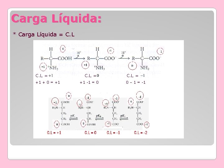 Carga Líquida: * Carga Líquida = C. L = +1 + 0 = +1