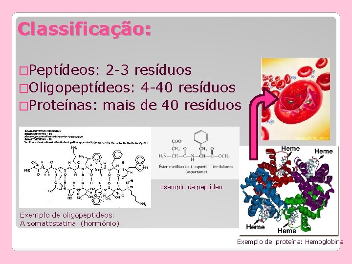 Classificação: �Peptídeos: 2 -3 resíduos �Oligopeptídeos: 4 -40 resíduos �Proteínas: mais de 40 resíduos