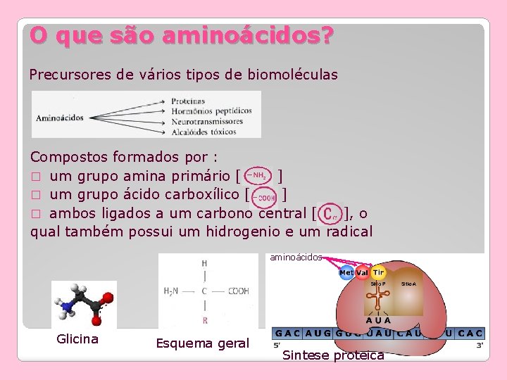 O que são aminoácidos? Precursores de vários tipos de biomoléculas Compostos formados por :