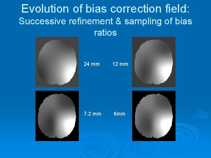 Evolution of bias correction field: Successive refinement & sampling of bias ratios 24 mm