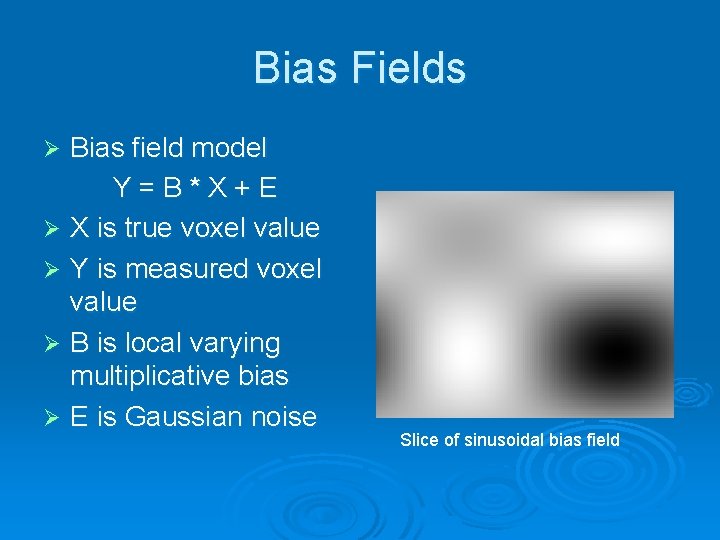 Bias Fields Bias field model Y=B*X+E Ø X is true voxel value Ø Y