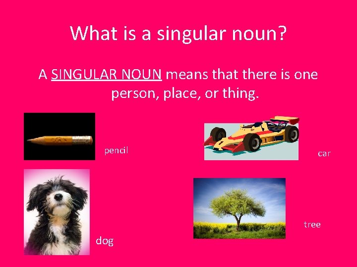 What is a singular noun? A SINGULAR NOUN means that there is one person,