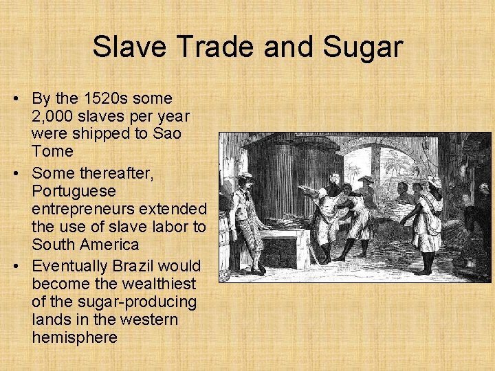 Slave Trade and Sugar • By the 1520 s some 2, 000 slaves per