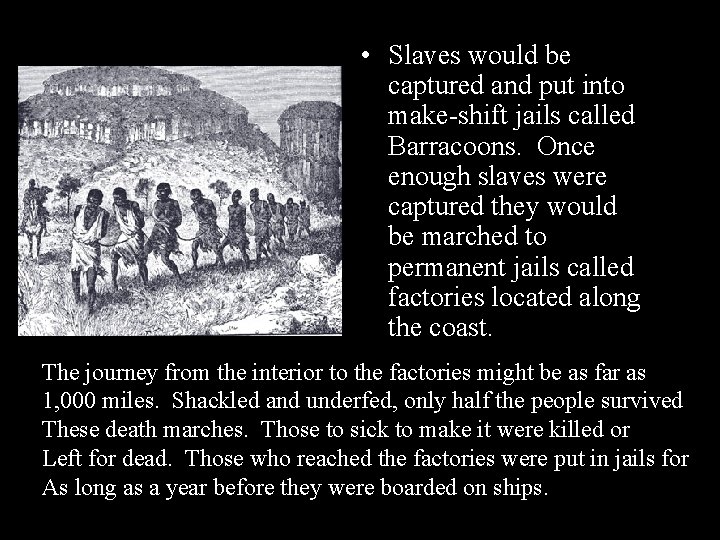  • Slaves would be captured and put into make-shift jails called Barracoons. Once