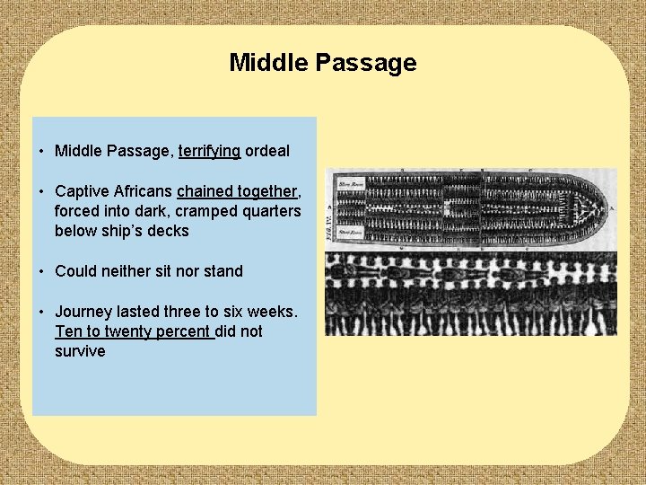 Middle Passage • Middle Passage, terrifying ordeal • Captive Africans chained together, forced into