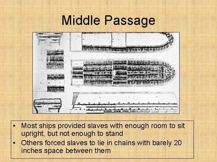 Middle Passage • Most ships provided slaves with enough room to sit upright, but