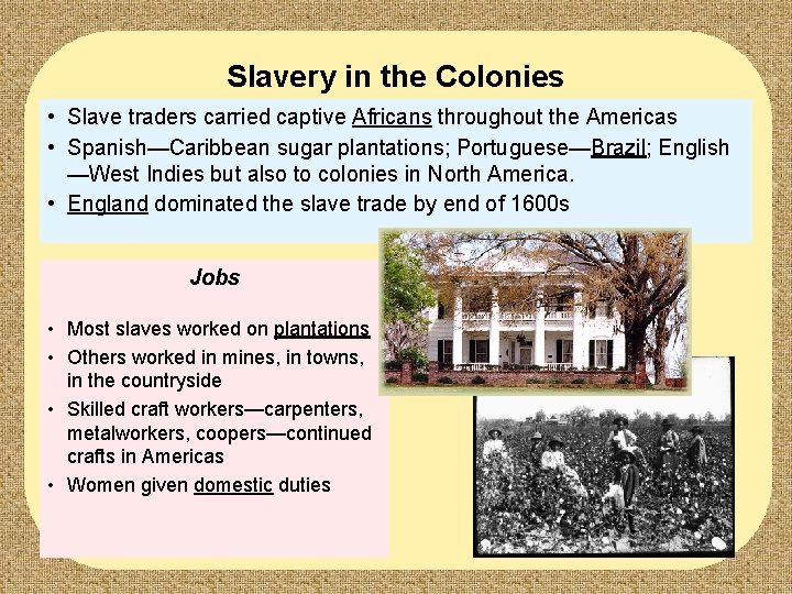 Slavery in the Colonies • Slave traders carried captive Africans throughout the Americas •