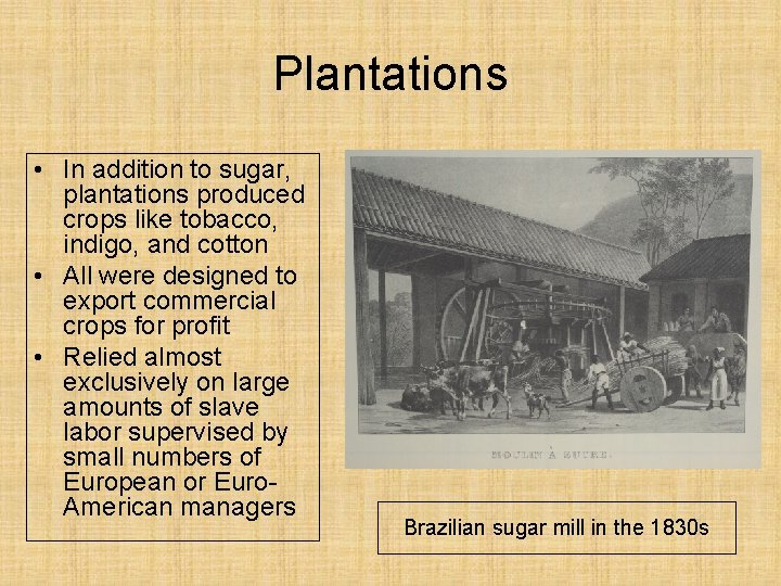 Plantations • In addition to sugar, plantations produced crops like tobacco, indigo, and cotton
