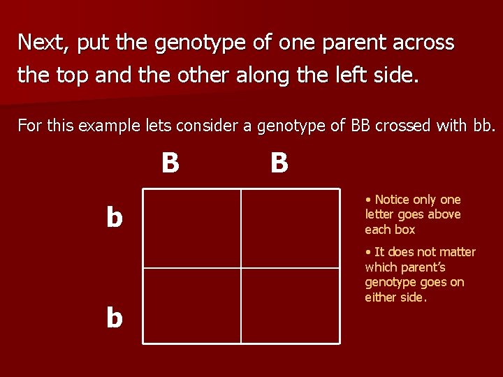 Next, put the genotype of one parent across the top and the other along