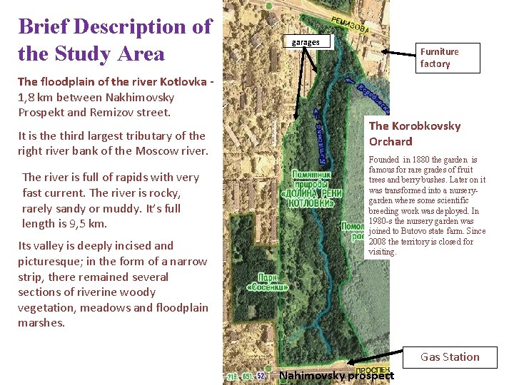 Brief Description of the Study Area The floodplain of the river Kotlovka - 1,