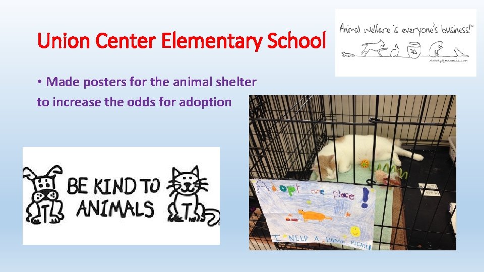 Union Center Elementary School • Made posters for the animal shelter to increase the