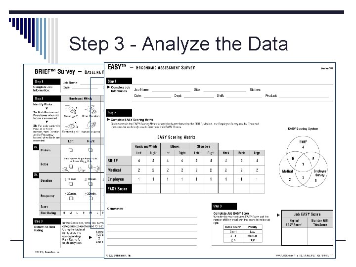 BRIEF and EASY Step 3 - Analyze the Data 