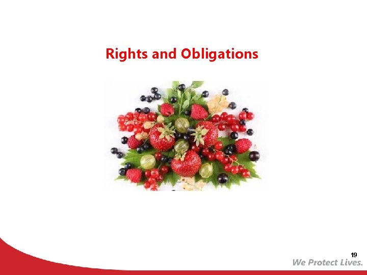 Rights and Obligations 19 