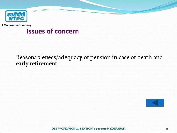 Issues of concern Reasonableness/adequacy of pension in case of death and early retirement DPE