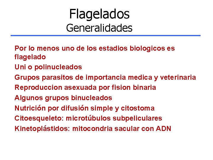 Flagelados Generalidades Por lo menos uno de los estadios biologicos es flagelado Uni o