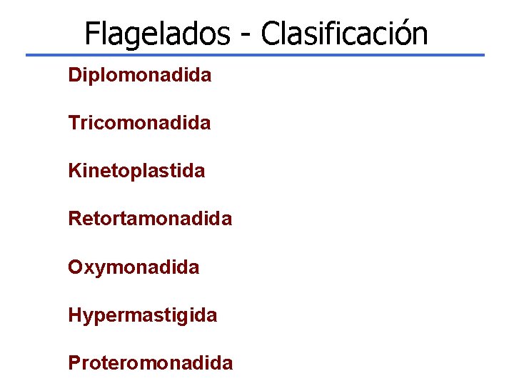 Flagelados - Clasificación Diplomonadida Tricomonadida Kinetoplastida Retortamonadida Oxymonadida Hypermastigida Proteromonadida 