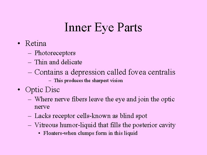 Inner Eye Parts • Retina – Photoreceptors – Thin and delicate – Contains a