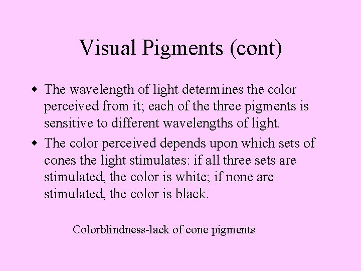 Visual Pigments (cont) w The wavelength of light determines the color perceived from it;