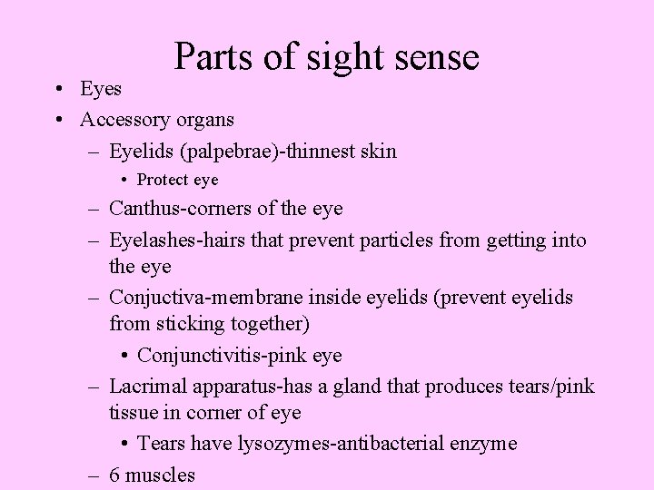 Parts of sight sense • Eyes • Accessory organs – Eyelids (palpebrae)-thinnest skin •