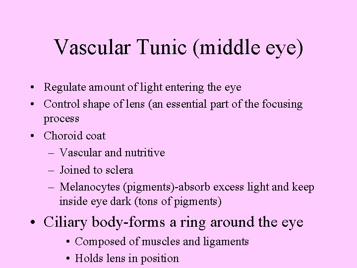 Vascular Tunic (middle eye) • Regulate amount of light entering the eye • Control